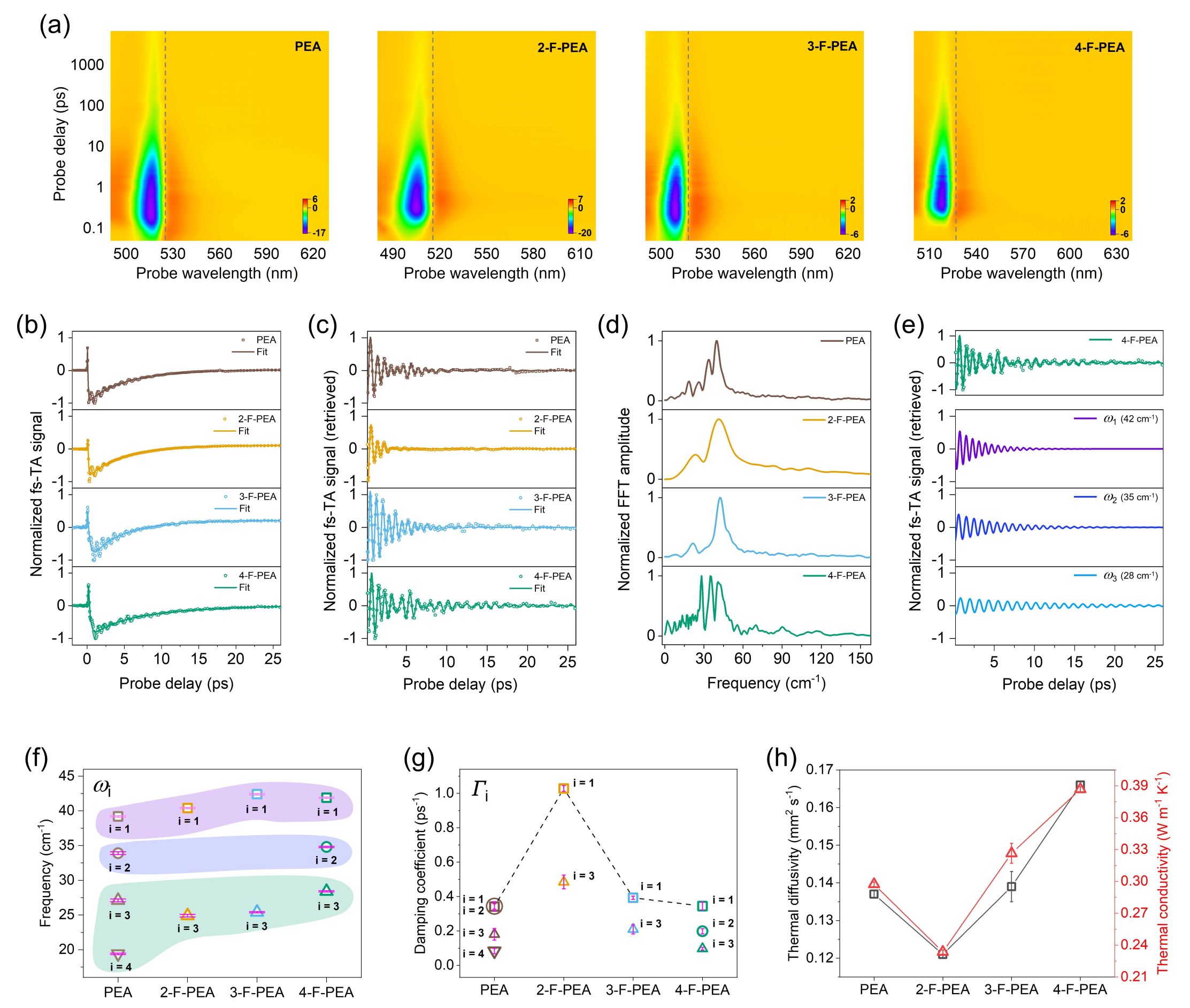 鈣鈦礦-2 縮小.jpg
